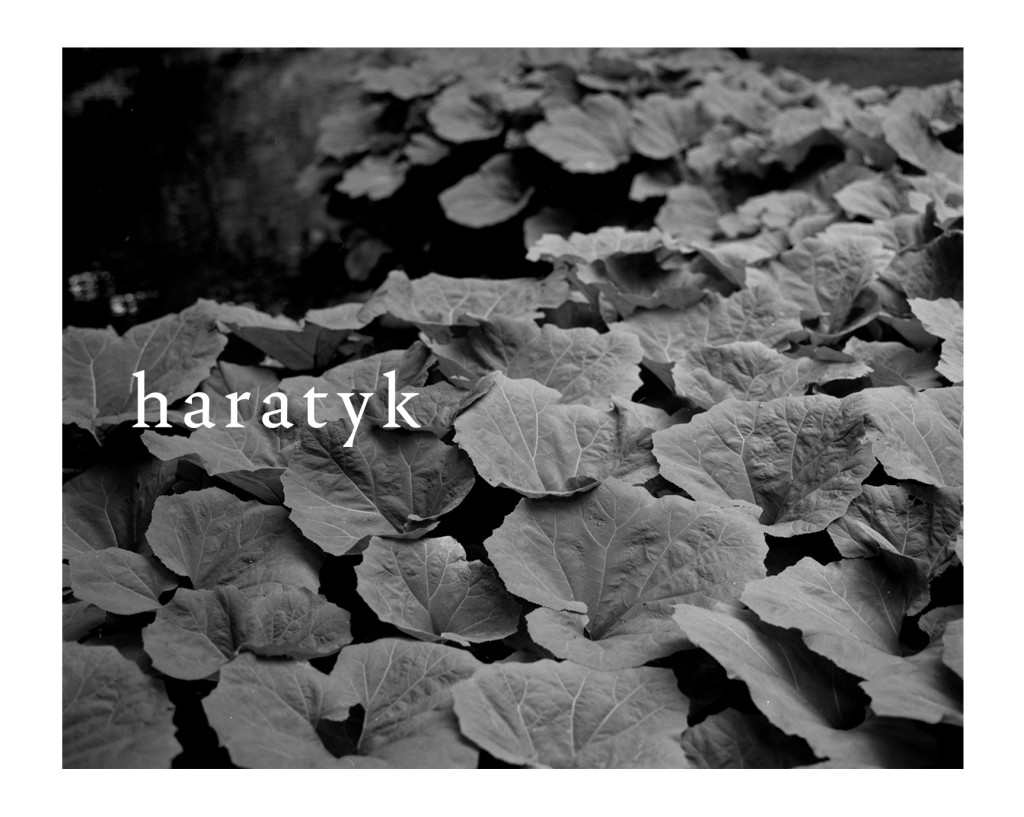 Haratyk_ss18_23