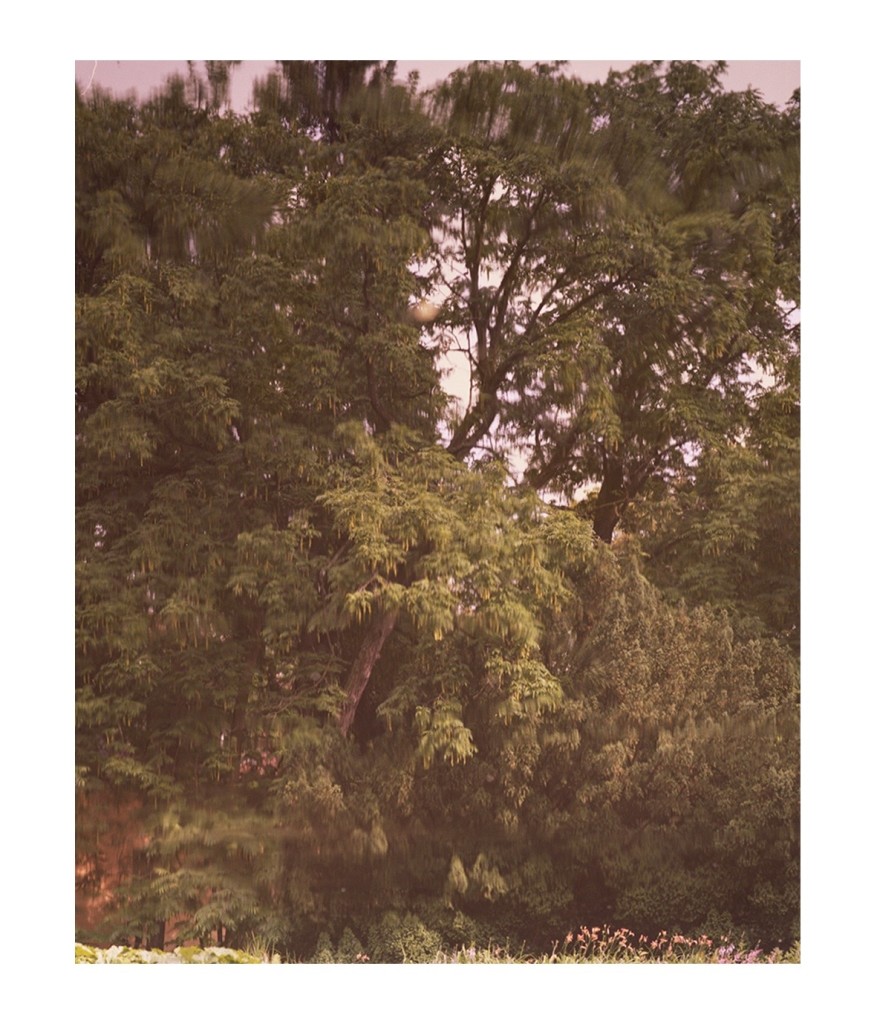 Haratyk_ss18_30