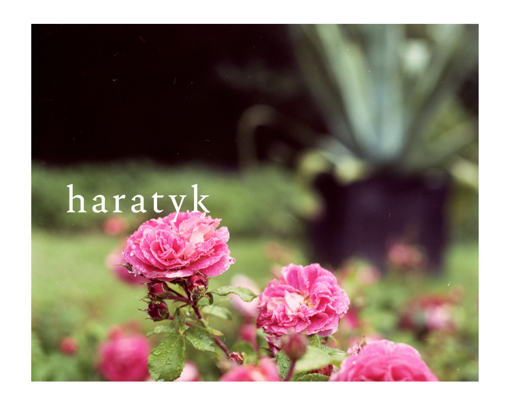 Haratyk_ss18_35